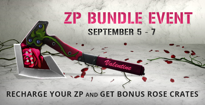 140827_zpbundle_custom.jpg