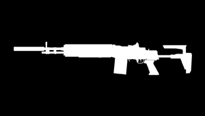 M14EBR_S.jpg